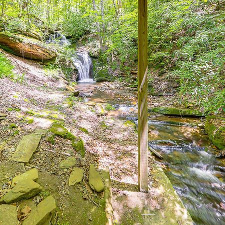 Bryson City Cottage With Hot Tub And Waterfall Views! Экстерьер фото